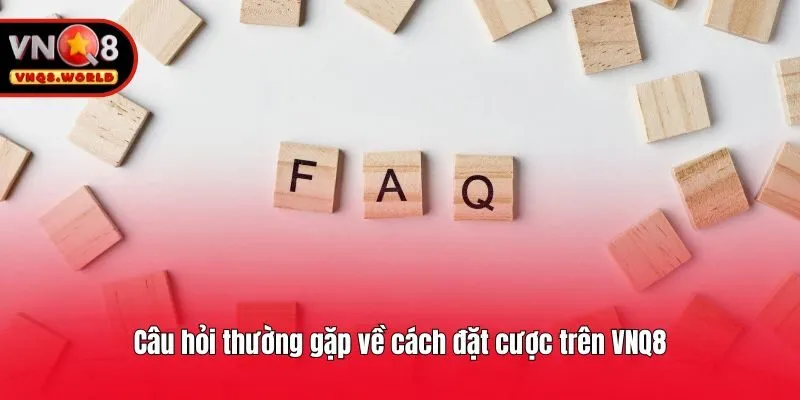 Câu hỏi thường gặp về cách đặt cược trên VNQ8