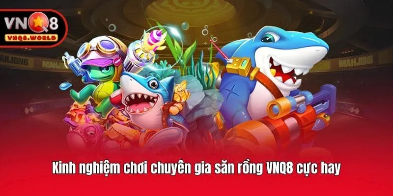 Kinh nghiệm chơi chuyên gia săn rồng VNQ8 cực hay