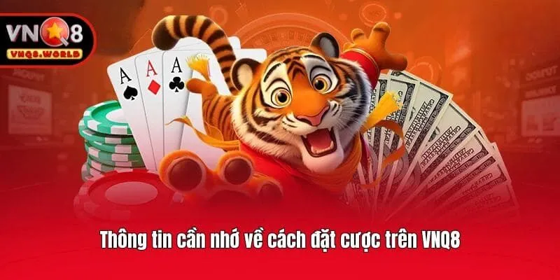 Thông tin cần nhớ về cách đặt cược trên VNQ8